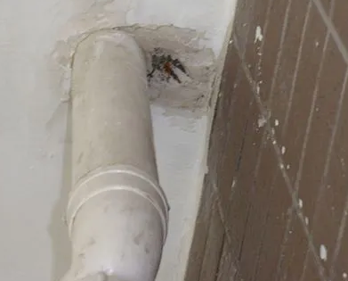 绥中漏水检测哪家好